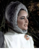 th_86384_liz_taylor_3413_122_192lo.jpg