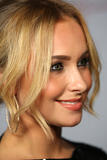 http://img102.imagevenue.com/loc483/th_28558_babayaga_Hayden_Panettiere_Declare_Yourselfs_Last_Call_party_09-24-2008_049_123_483lo.jpg