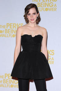 http://img102.imagevenue.com/loc90/th_700179652_EmmaWatson_PreksOfBeingAWallflowerPremiere_London_16_122_90lo.jpg